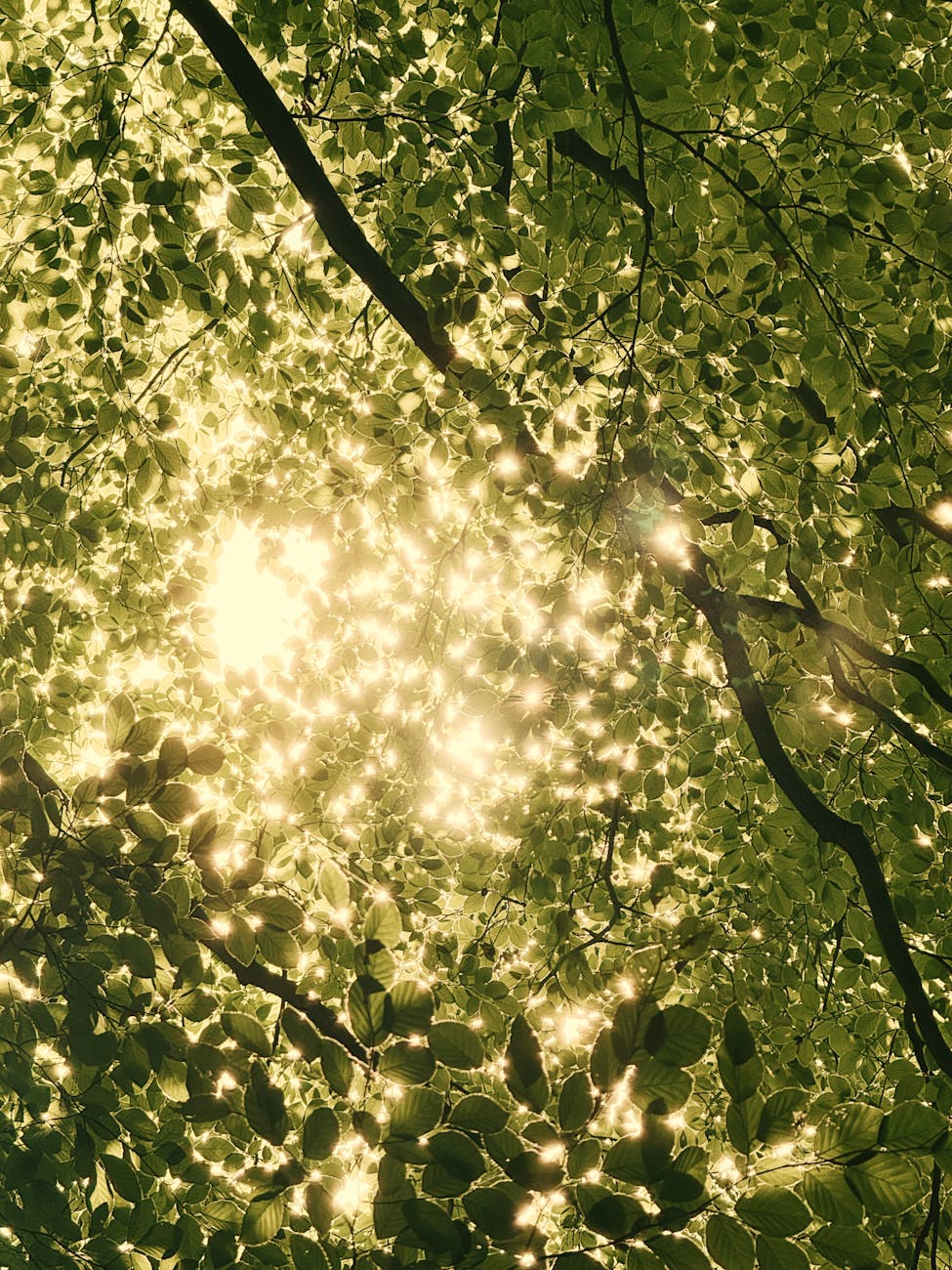 QHHT Denver Immersive Day with Jennifer Palladino – QHHT® + Soul Essence Retrieval™ session